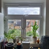 Photo 7: View from the kitchen 