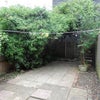 Photo 9: Private courtyard garden