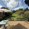 Photo 6: Garden