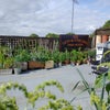 Photo 7: Large Roof Terrace