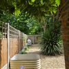 Photo 8: Our lovely garden and deck, with Lloyd park over the fence it's super green.