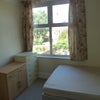 Photo 6: Large Double room overlooking back garden