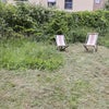 Photo 7: Garden