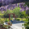 Photo 7: Garden