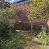 Photo 7: Back garden