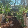 Photo 9: The garden