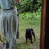 Photo 3: Bertie and Daisy