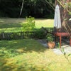 Photo 8: Garden