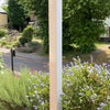 Photo 4: View outside front door 