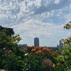 Photo 8: Rooftop view