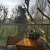 Photo 5: Balcony