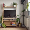 Photo 4: Living room
