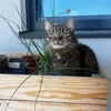 Photo 2: and momo!!!