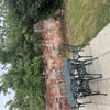 Photo 6: Shared garden 