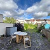 Photo 8: Garden
