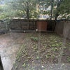 Photo 9: Garden
