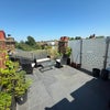 Photo 7: Rooftop