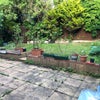 Photo 7: Garden