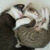 Photo 4: Guy and Dora