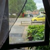 Photo 6: Window view