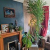 Photo 2: Living Room