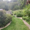 Photo 8: Garden to river