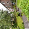 Photo 9: Communal Garden