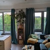 Photo 8: Living room
