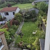 Photo 9: garden 