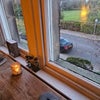 Photo 6: View onto road & park from bedroom
