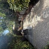 Photo 8: Garden