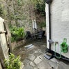 Photo 6: Back garden to enjoy!