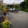 Photo 4: Courtyard garden gets the sun most of the day