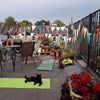 Photo 6: Roof Terrace