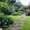 Photo 8: Garden