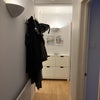 Photo 8: Front entry. 