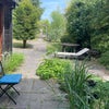 Photo 5: garden