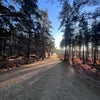 Photo 8: Gorgeous forest with direct access from garden