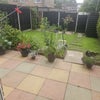 Photo 6: Garden 