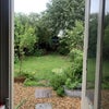 Photo 4: Garden!