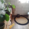 Photo 7: The Bathroom No.2