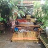 Photo 2: The garden No.2
