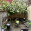 Photo 4: The backyard / garden