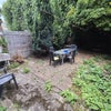 Photo 7: Garden