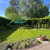 Photo 7: side garden