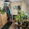 Photo 3: Bedroom