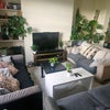 Photo 7: Living Room