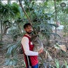 Adi\'s picture