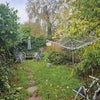 Photo 8: Garden