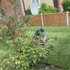 Photo 7: Front garden 